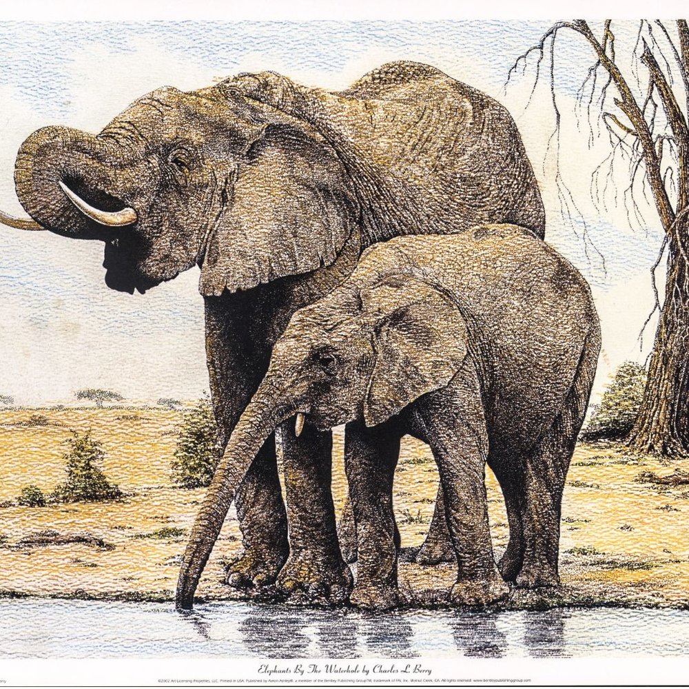 Set of 6 Animal Prints Elephant, Cheetah, Giraffe, Leopard, Lion, Zebras